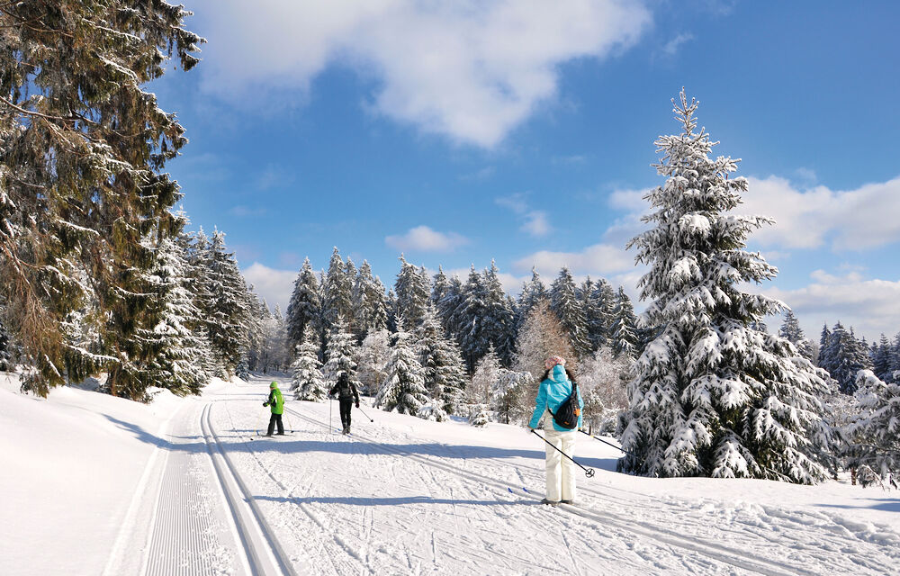 Langlauf im Bayerischen Wald